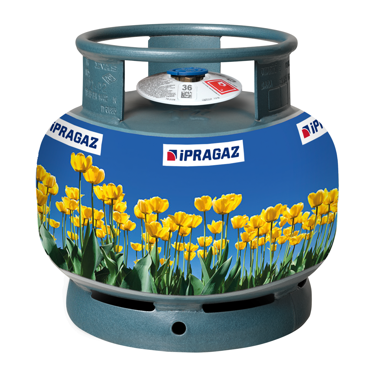 2 KG - Dar Çember Piknik Tüpü