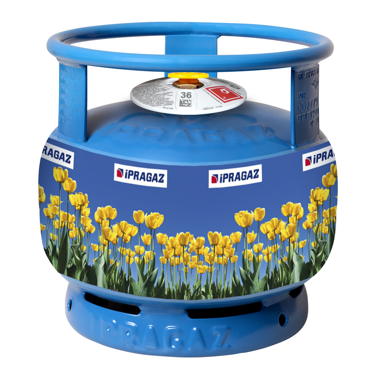 2 KG - Geniş Çember Piknik Tüpü